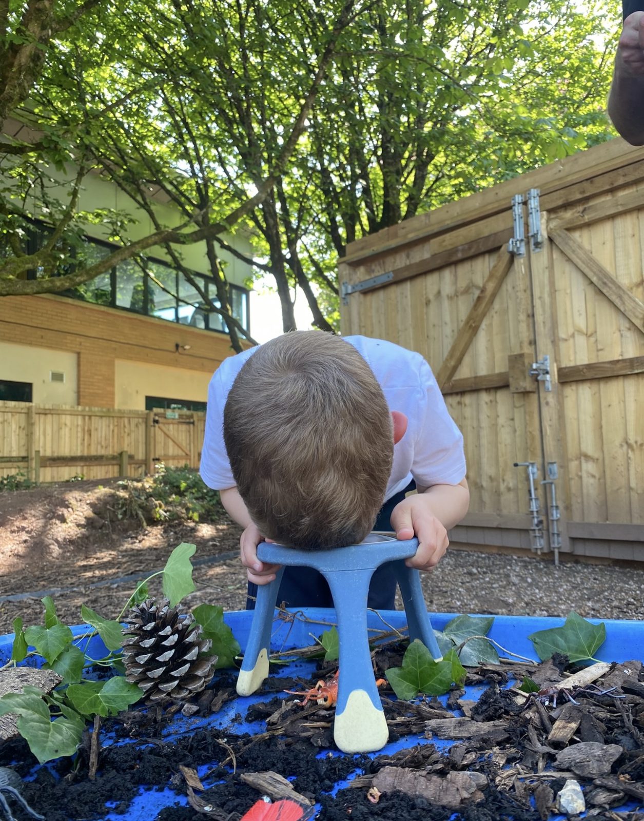 A child crouching to explore pine cones and leaves in the forest school area