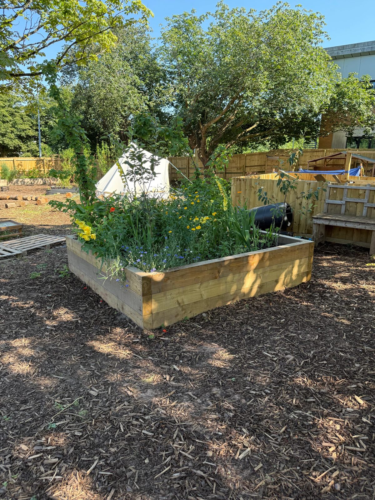 Raised vegetable and herb beds in the forest school garden at Wibli Wobli Newport